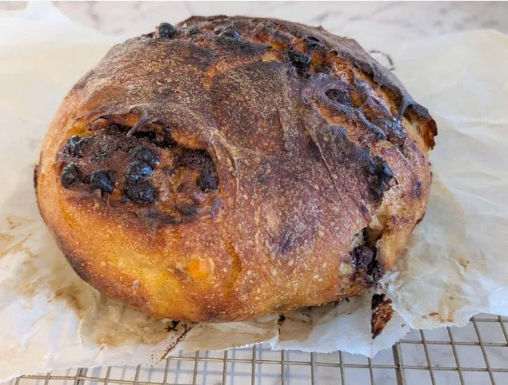 Sweet potato chocolate chip toffee sourdough boule with golden crust and sweet mix-ins
